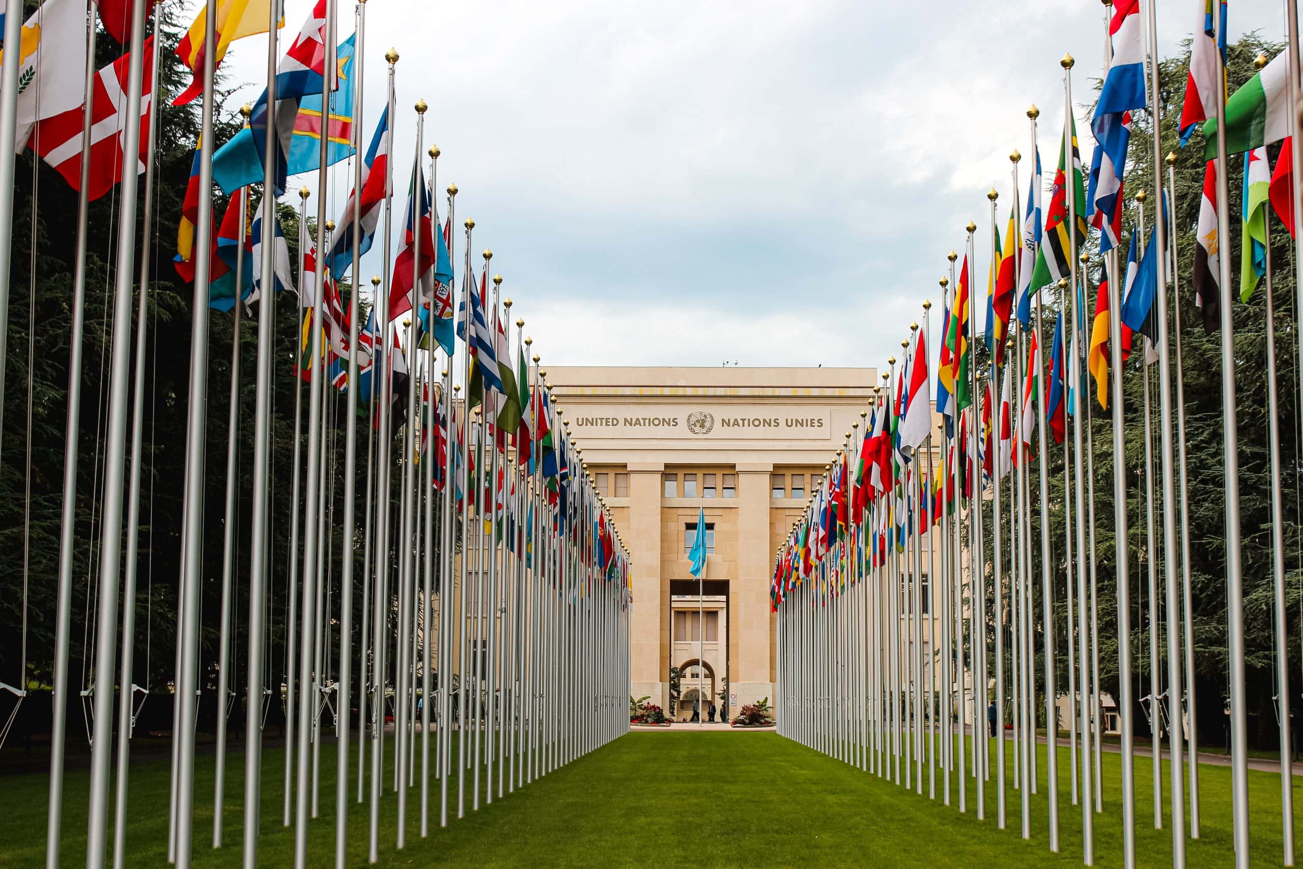 Birleşmiş Milletler yapısının üye ülkelerin bayraklarının göründüğü girişinin görseli.